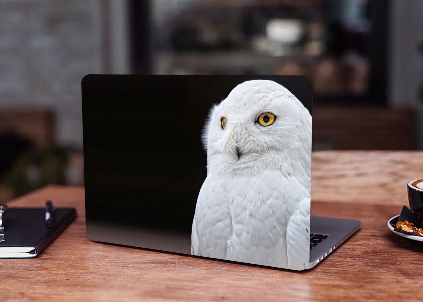 Декоративная наклейка на ноутбук 17,3" White Owl 400х260 мм (100059_17)