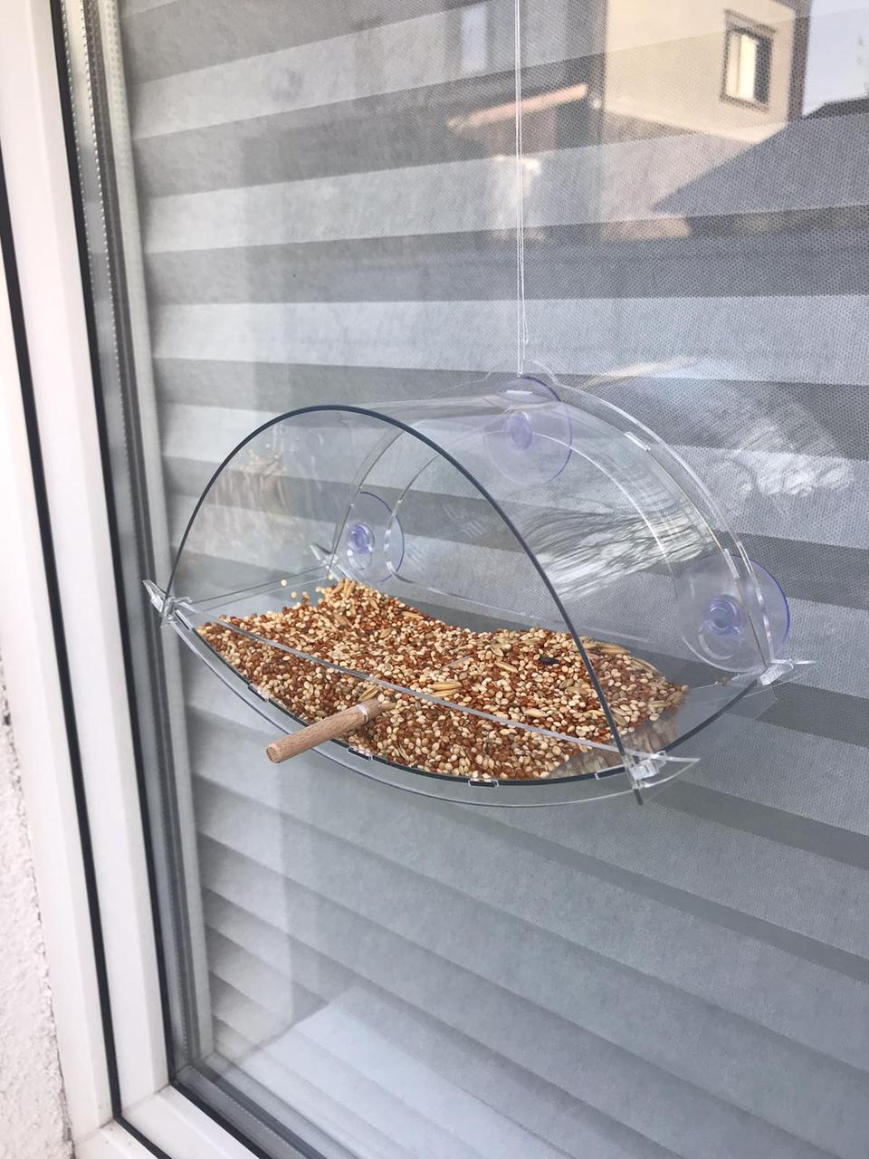 Кормушка для птиц ТРЕСТ на присосках на окно 10х23,5х12 см - фото 2 Кормушка для птиц ТРЕСТ на присосках на окно 10х23,5х12 см - фото 2