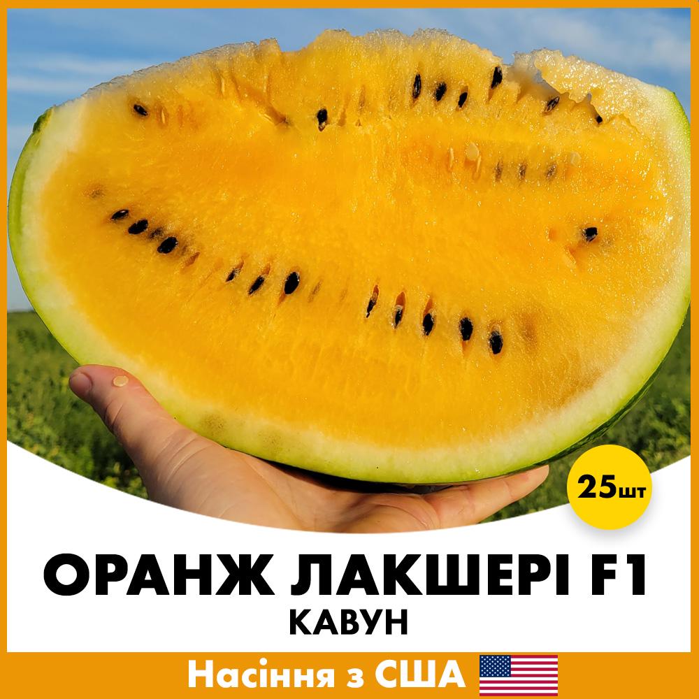 Семена арбуза Lark Seeds Оранж Лакшери F1 25 шт. (jkl4-25)