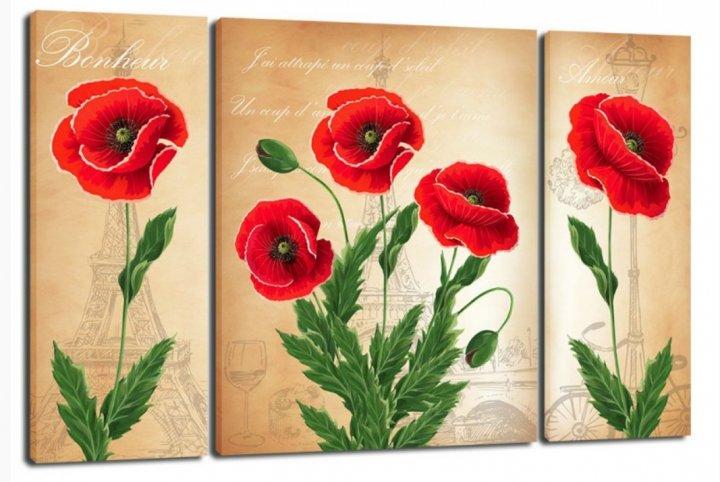 Картина модульная на холсте DK Триптих Маки 50x80 см (TRP-936)