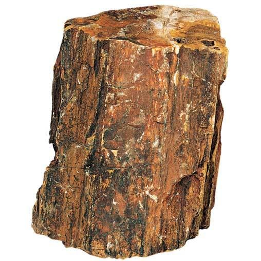 Камень декоративный природный Hobby Petrified Wood M 1-2,2 кг (40687)