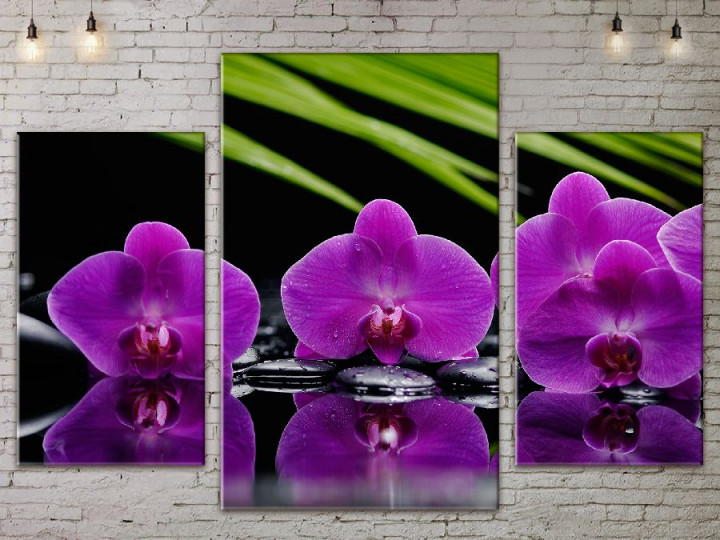 Картина модульная ArtStar Орхидеи ADFL0117 120х180 см 3 части
