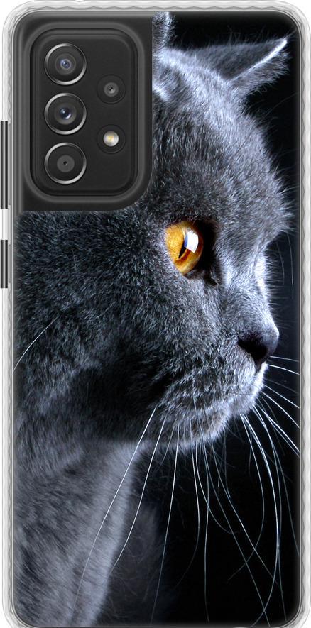 Чехол на Samsung Galaxy A52s 5G A528B Красивый кот (3038pc-2583-42517)