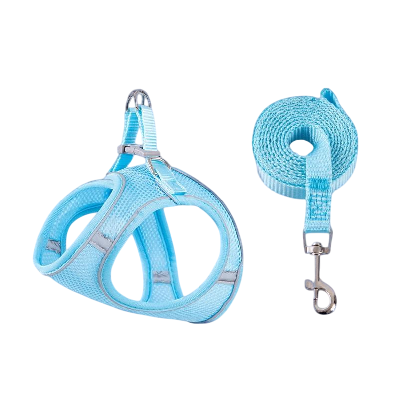 Шлейка-повідець для собак Runner світловідбивний XXS Блакитний (2296454337)