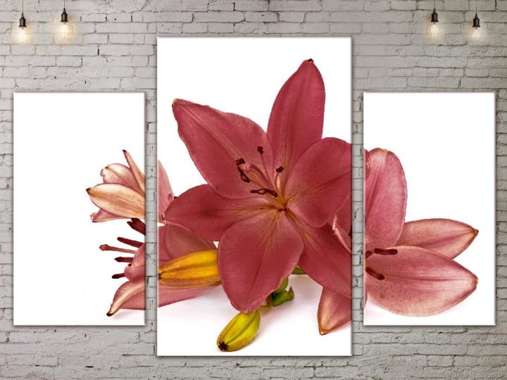 Картина модульная ArtStar Лилия ADFL0101 120х180 см 3 части