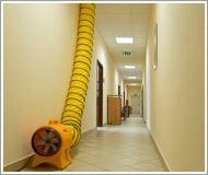 Вентилятор підлоговий Master BL 8800 (555880) - фото 2 Вентилятор підлоговий Master BL 8800 (555880) - фото 2