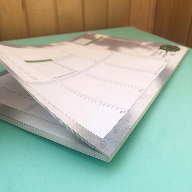 Еженедельник настольный стильный Weekly Style А4 52 листа (LFWEUPST023) - фото 4