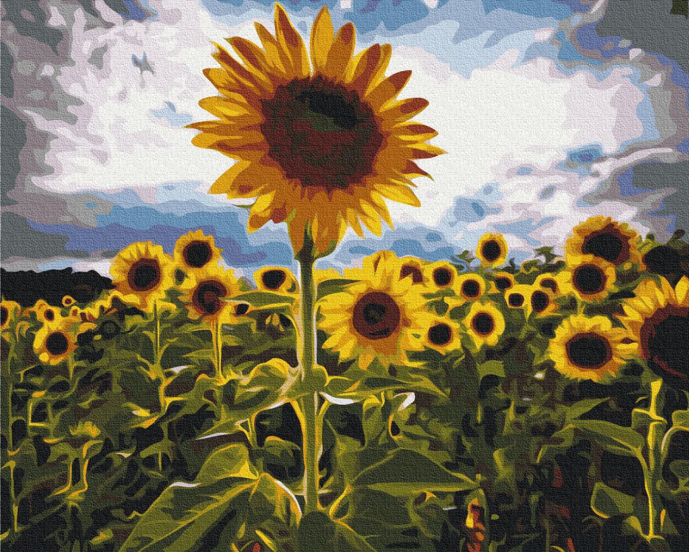 Картина по номерам Brushme Улочка в цветах 40x50 см (BS7451)