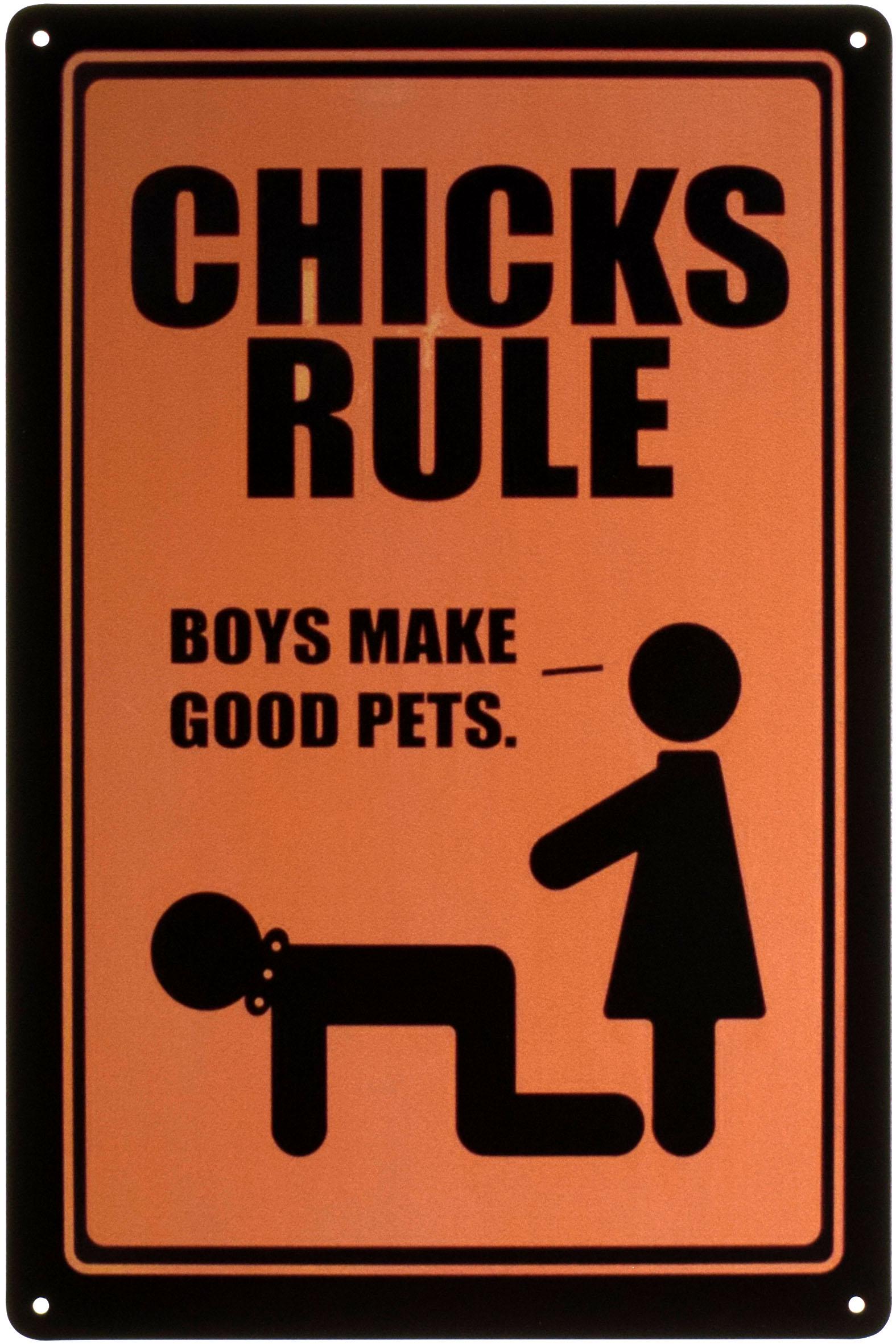 Табличка металлическая Правило Цыплят/Chicks Rule 20x30 см