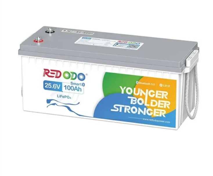 Батарея аккумуляторная для ИБП Redodo LiFePO4 25.6V 100 Ah 2560Wh с Bluetooth