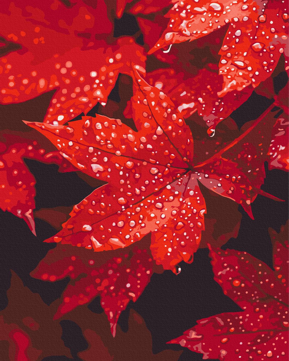 Картина за номерами Brushme Осіннє серце в крапельках 40x50 см (BS54397) Картина за номерами Brushme Осіннє серце в крапельках 40x50 см (BS54397)