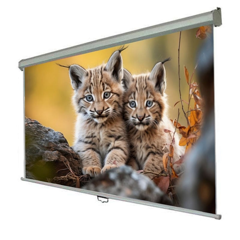 Экран проекционный Walfix SNM-10 настенный потолочный 120" 265х148 см 16:9 (tf544)