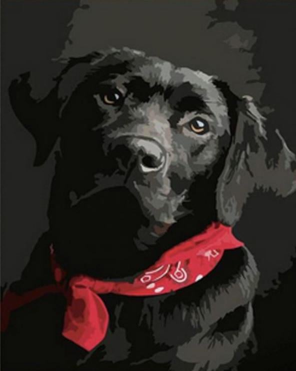 Набір для творчості алмазна картина Strateg Чорний лабрадор HEG86044 30x40 см (MTT-174724) Набір для творчості алмазна картина Strateg Чорний лабрадор HEG86044 30x40 см (MTT-174724)