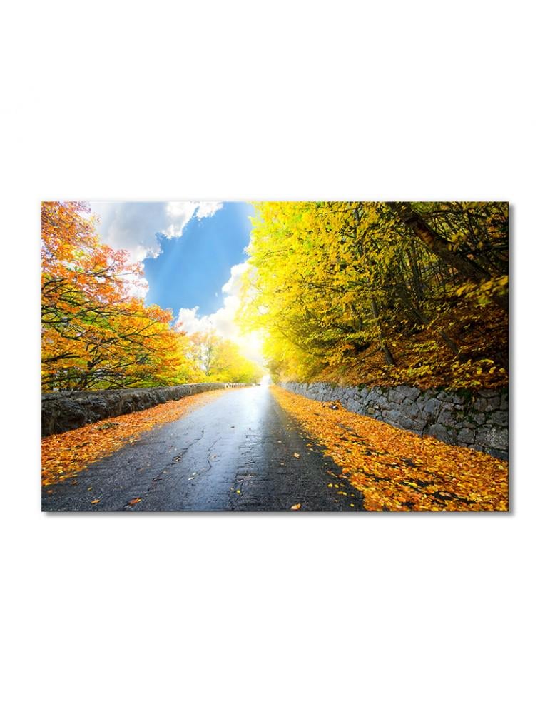 Картина модульная Солнечная осенняя лесная дорога 1 модуль 70x105 см