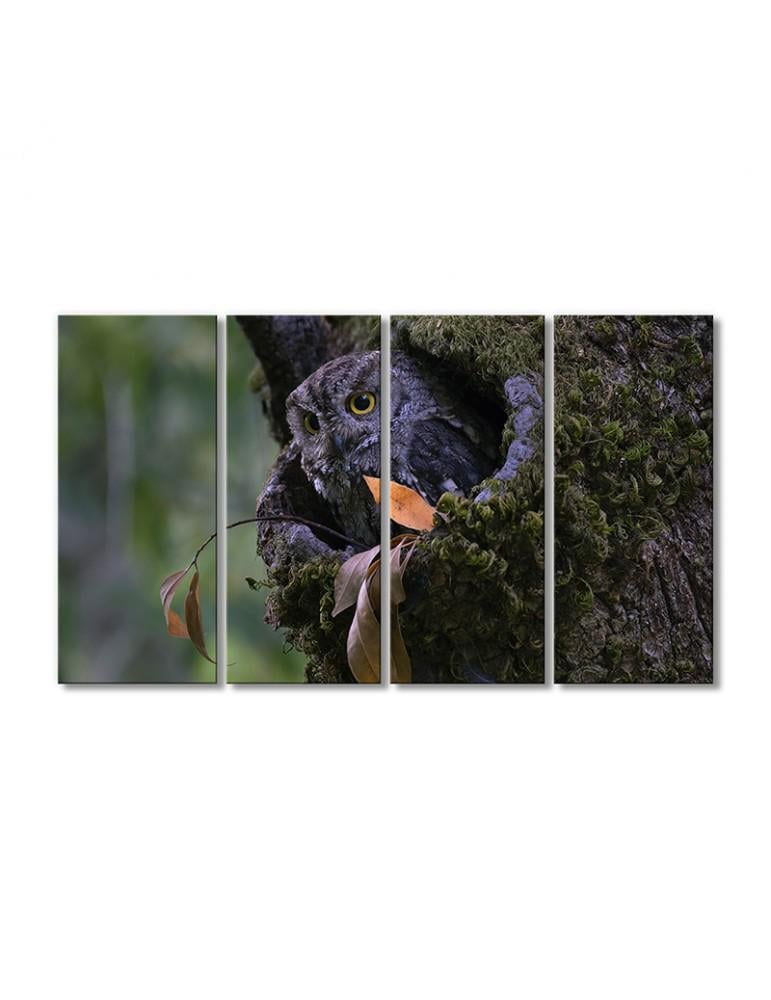 Картина модульная Сова в дупле 4 модуля 90x135 см