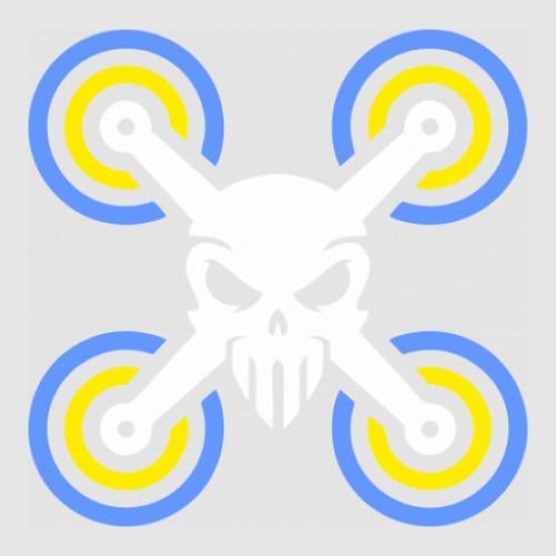 Стикер Drone&skull 25x24,9 см (26621514)