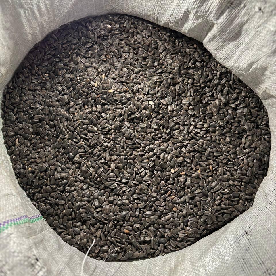 Семена подсолнечника необработанные для кормления птиц и животных 10 кг (2403414629)