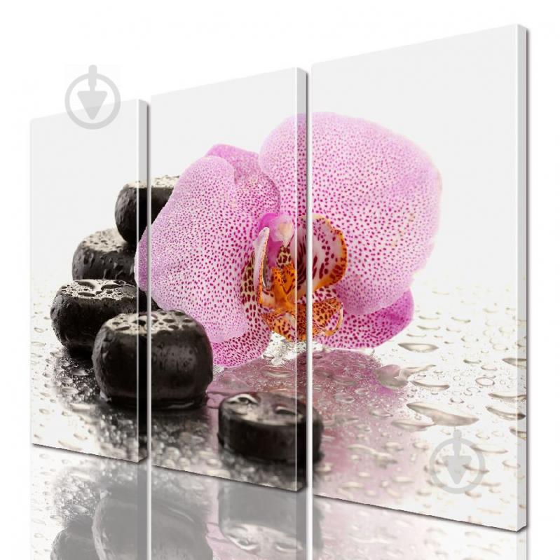 Модульная картина ArtStar цветы ADFL0190 размер 55 х 70 см