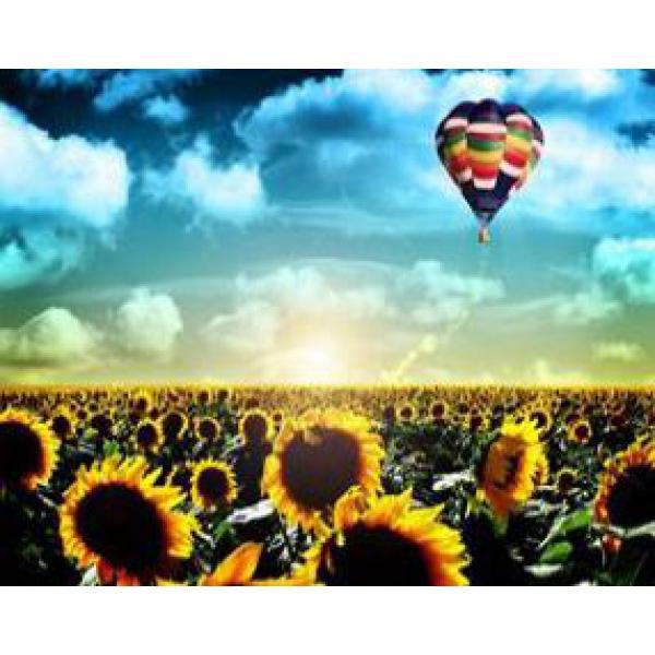 Раскраска по номерерам на дереве Josef Otten Воздушный шар в картонной коробке 40х50 см (8244RSBD-mt)