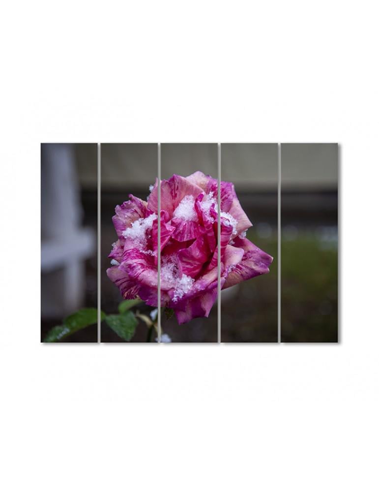 Картина модульная Роза и первый снег 5 модулей 90x135 см
