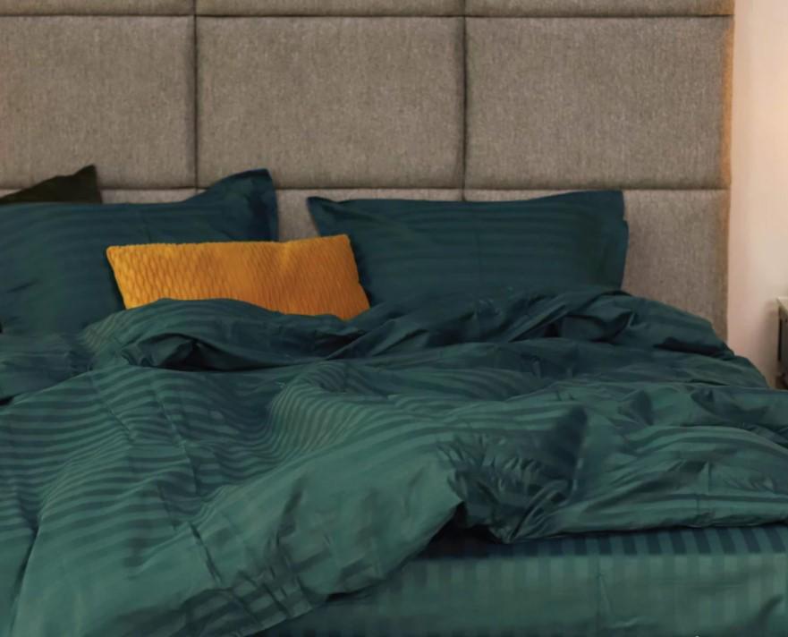 Постельное белье Вилюта 85 сатин страйп евро (2000026295)