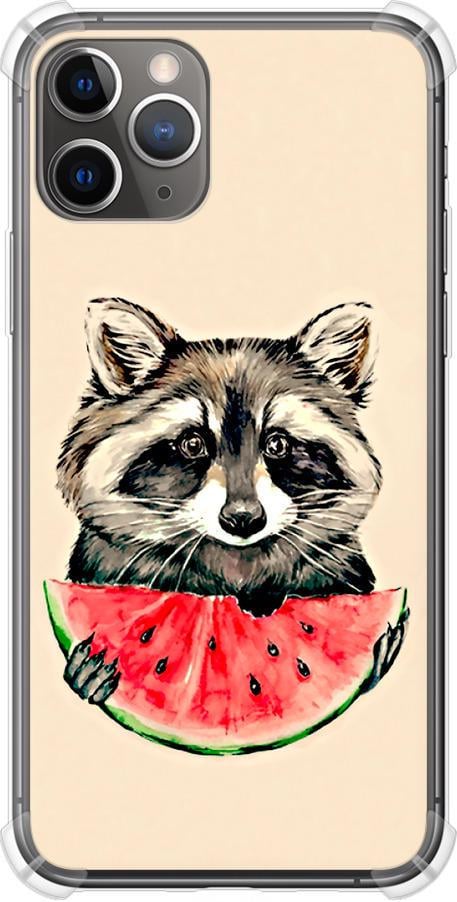 Чехол на iPhone 11 Pro Енотик с арбузом (4605sp-1788-42517)