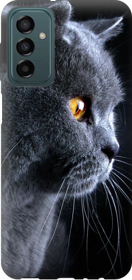 Чехол на Samsung Galaxy M23 M236B Красивый кот (3038u-2632-42517)