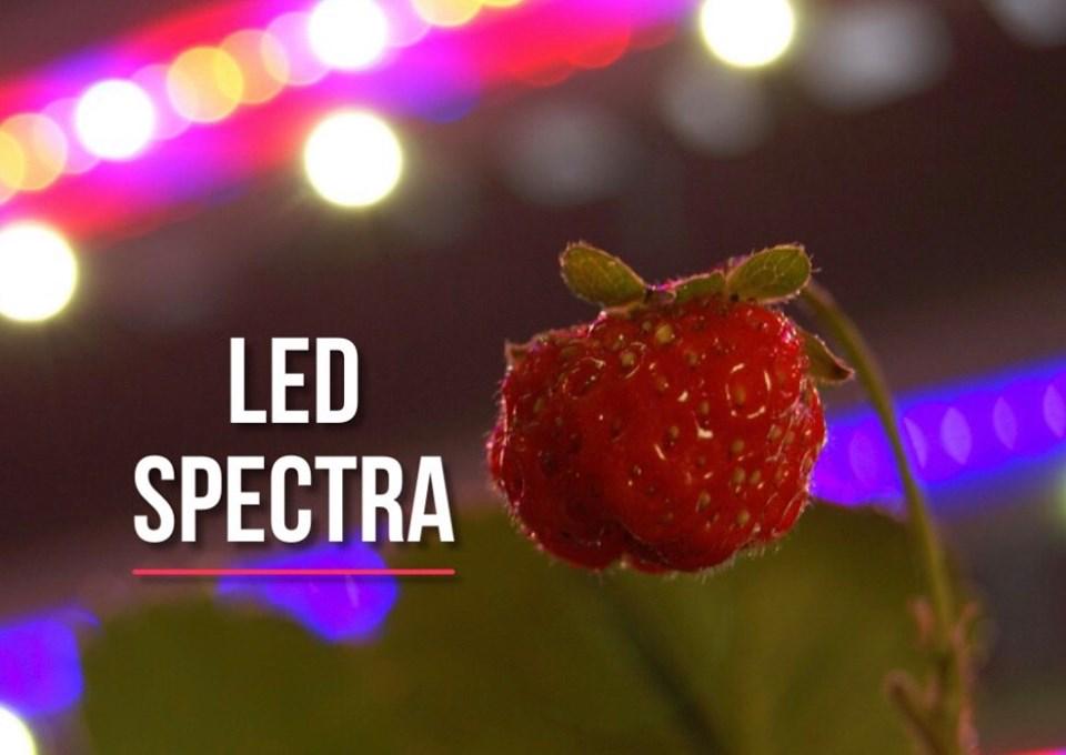 Фітолампа світлодіодна Spectra SMART зі змінним спектром випромінювання 1,2 м (00041) - фото 8