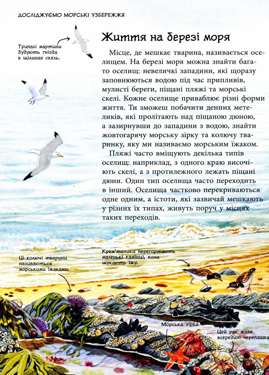 Книга "Стежками природи Океанічні й морські узбережжя" Сара Тавернье С791002У (9786170956408) - фото 5