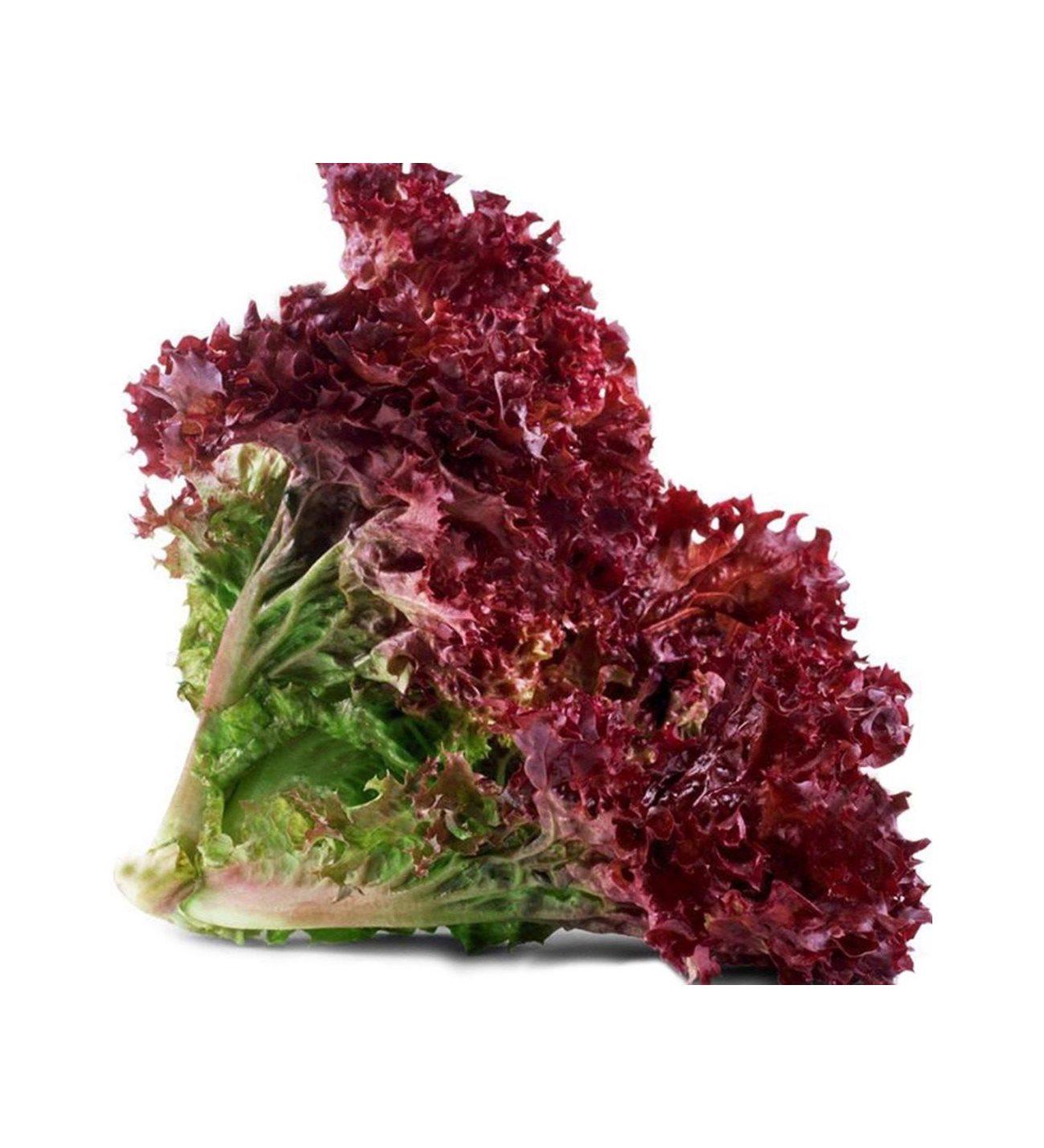 Семена Rijk Zwaan Салат полукочанный Кармеси 100 шт. (234442)