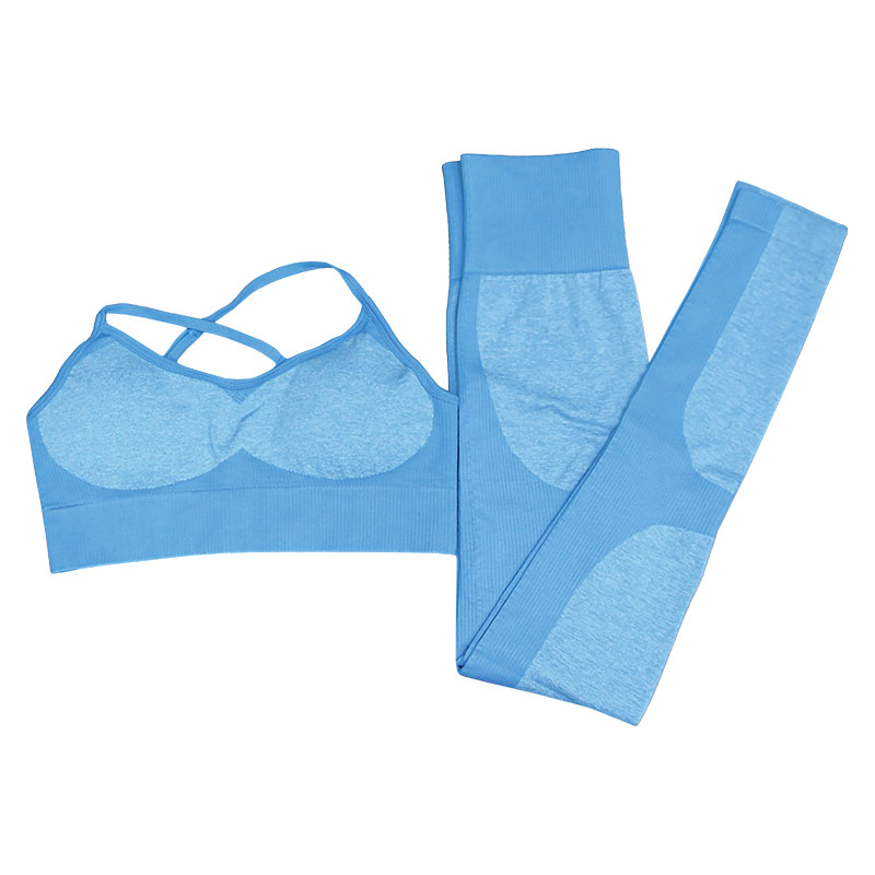 Комплект женский лосины и топ для фитнеса Lesko ZC-1976 Light Blue S Blue (1260886643)