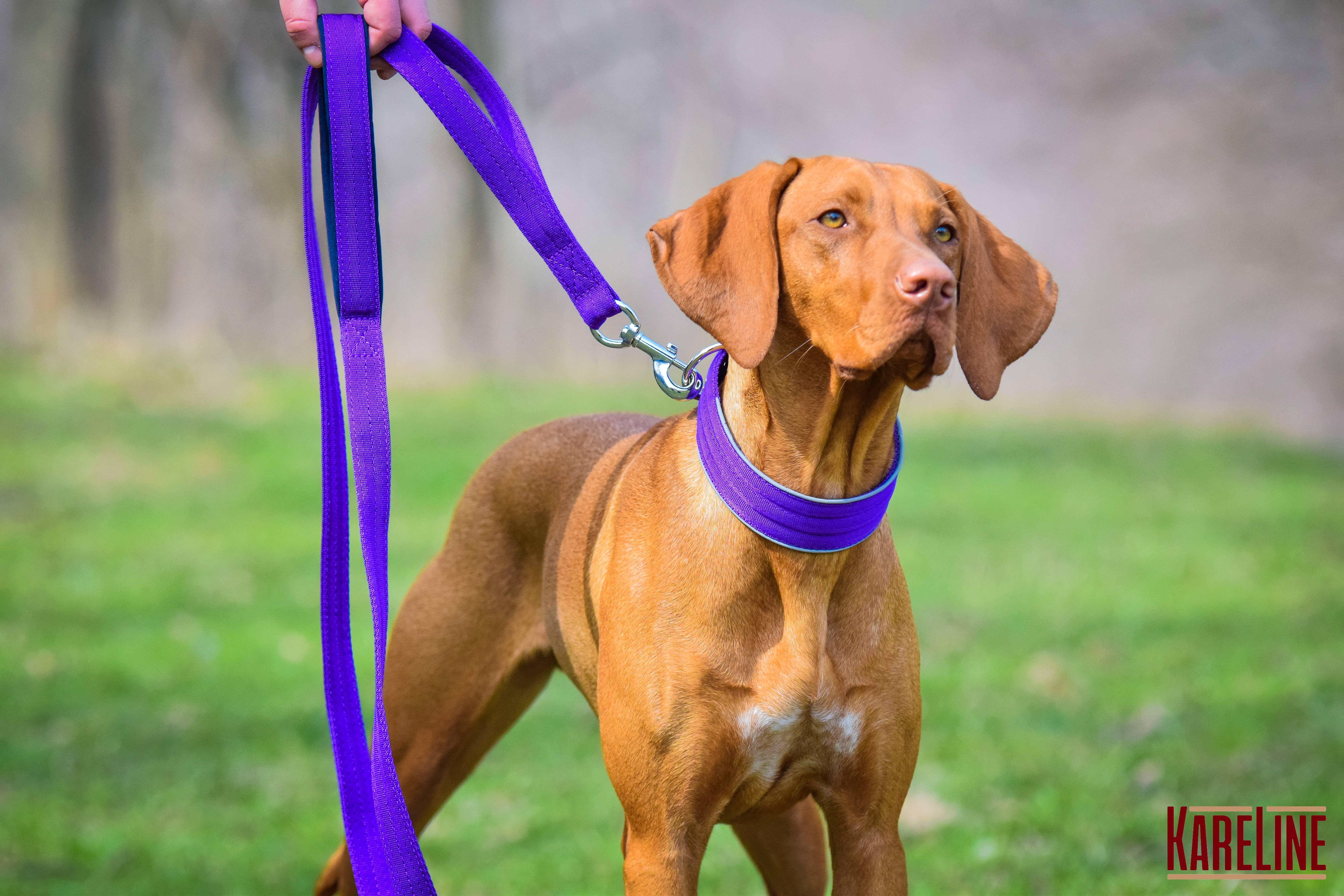 Ошейник KareLine усиленный нейлоновый со светоотражающим кантом 40 мм 300-380 мм Фиолетовый (0952/9) - фото 2