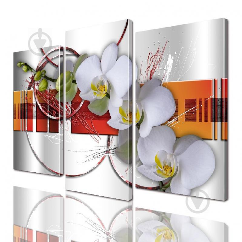 Модульная картина ArtStar цветы Орхидея ADFL0134 размер 55 х 70 см