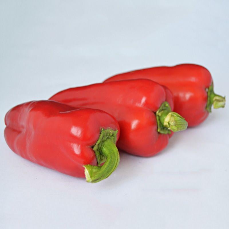 Семена Перец Сладкий Syngenta LUBOV F1 500 шт. (2289705013)