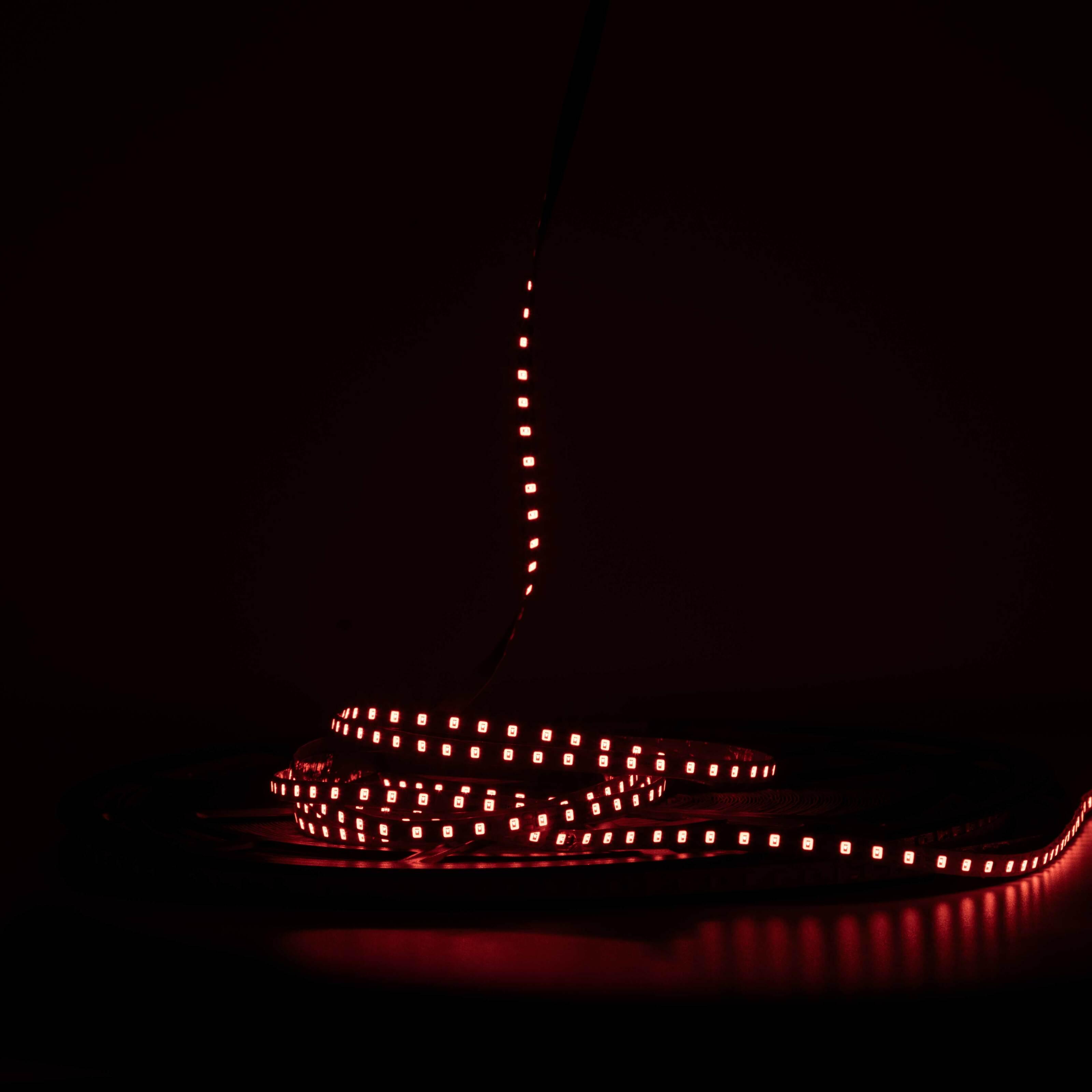 Светодиодная лента Prolum IP20 2835/120 50M S-TYPE Series-S 5V 6 мм Красный (28522843) - фото 2 Светодиодная лента Prolum IP20 2835/120 50M S-TYPE Series-S 5V 6 мм Красный (28522843) - фото 2