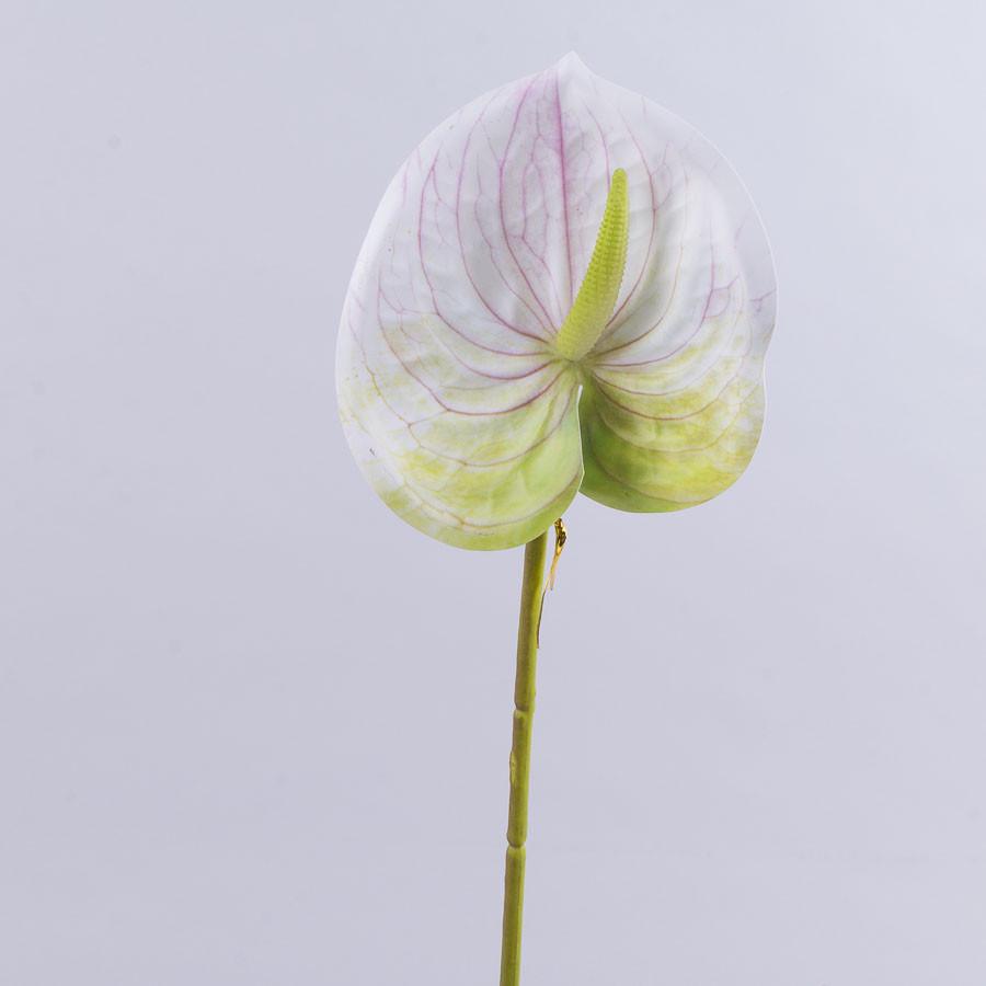 Цветок антуриум латексный белый