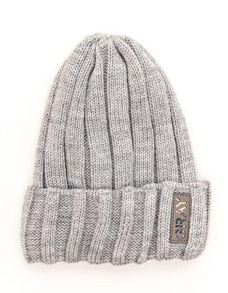 Шапка детская для мальчиков Грей D826 флис 46-50 см Светло-серый