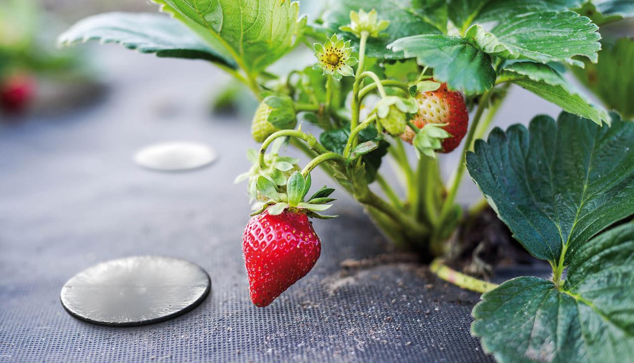 Колышек полимерный для агроволокна Garden Peg 100 шт. - фото 5