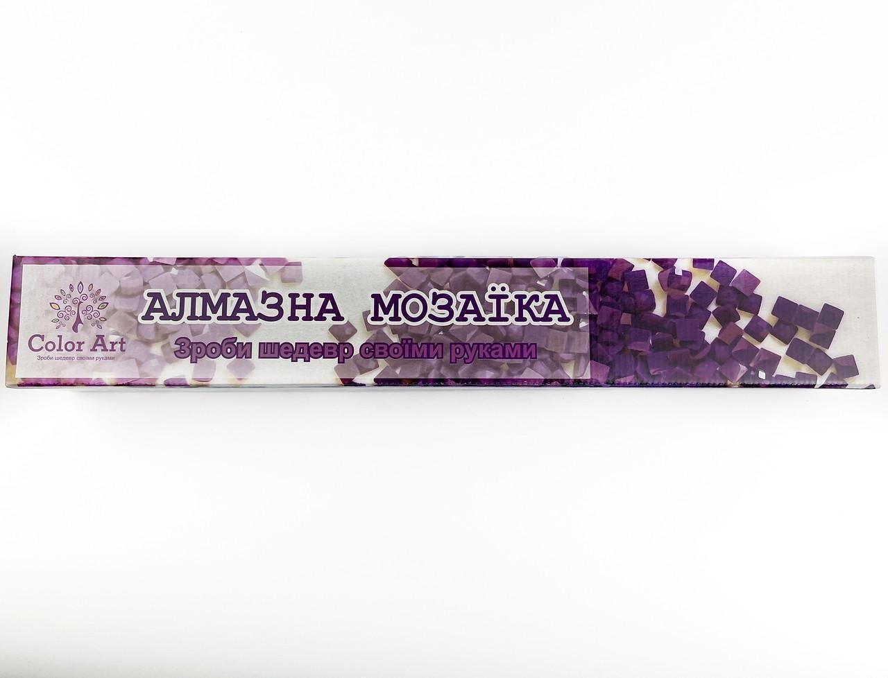 Алмазна вишивка ColorArt Козак і козачка SP116 40x50 см - фото 7 Алмазна вишивка ColorArt Козак і козачка SP116 40x50 см - фото 7