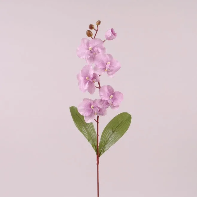 Цветок Фаленопсис Flora Фиолетовый (73013)