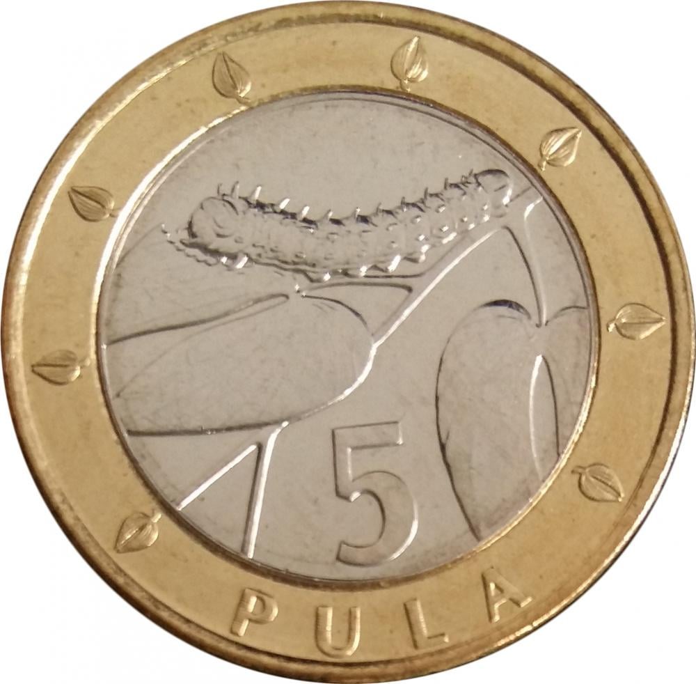Коллекционная монета Ботсвана 5 пула 2007 UNC (KM#30)