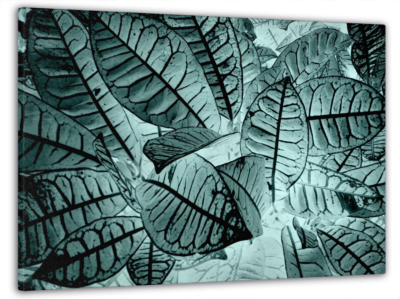Картина на холсте DK Голубые листья 60x100 см (MK10222_M)
