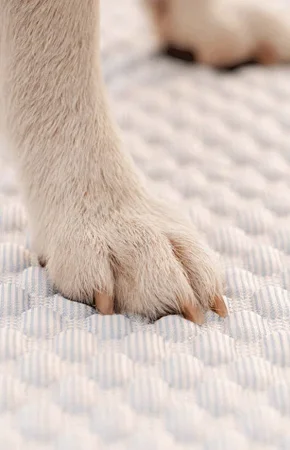 Накидка для мебели C00493-2 90х180 см - фото 3 Накидка для мебели C00493-2 90х180 см - фото 3