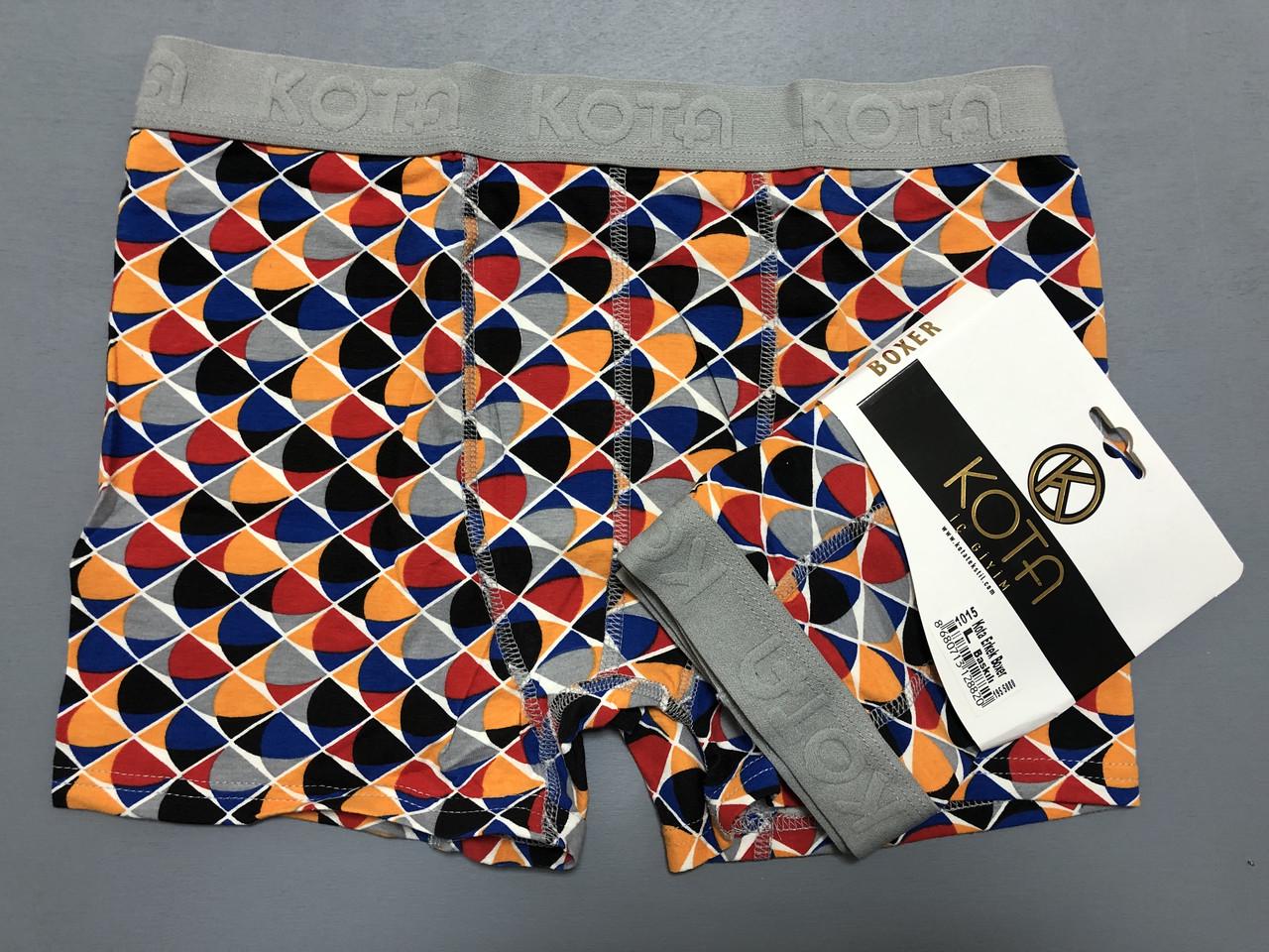 Боксерки мужские хлопковые Kota L Разноцветный
