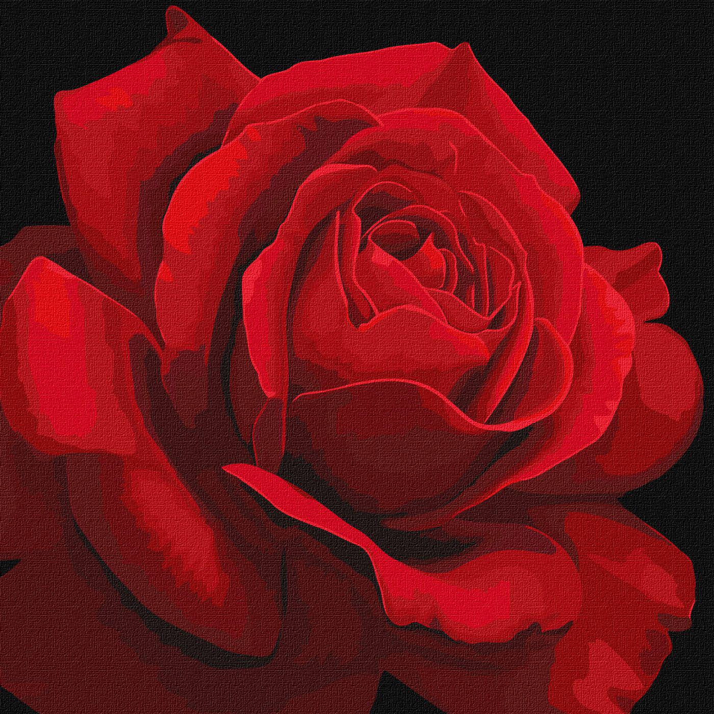 Картина по номерам Идейка Red Rose 40x40 см (KHO3238)