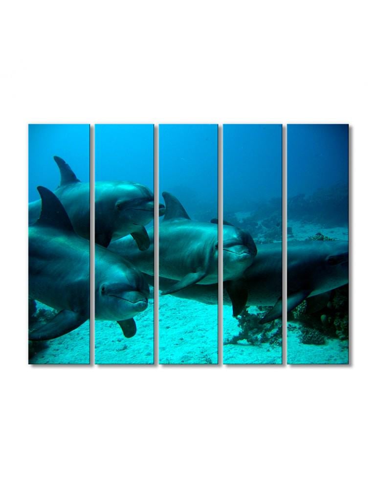 Картина модульная Семейство дельфинов 5 модулей 80x120 см