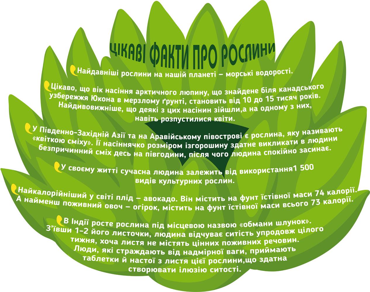 Стенд для детского сада/школы/НУШ "Цікаві факти про рослини-1" 1600х1265 мм (NUH 0040)
