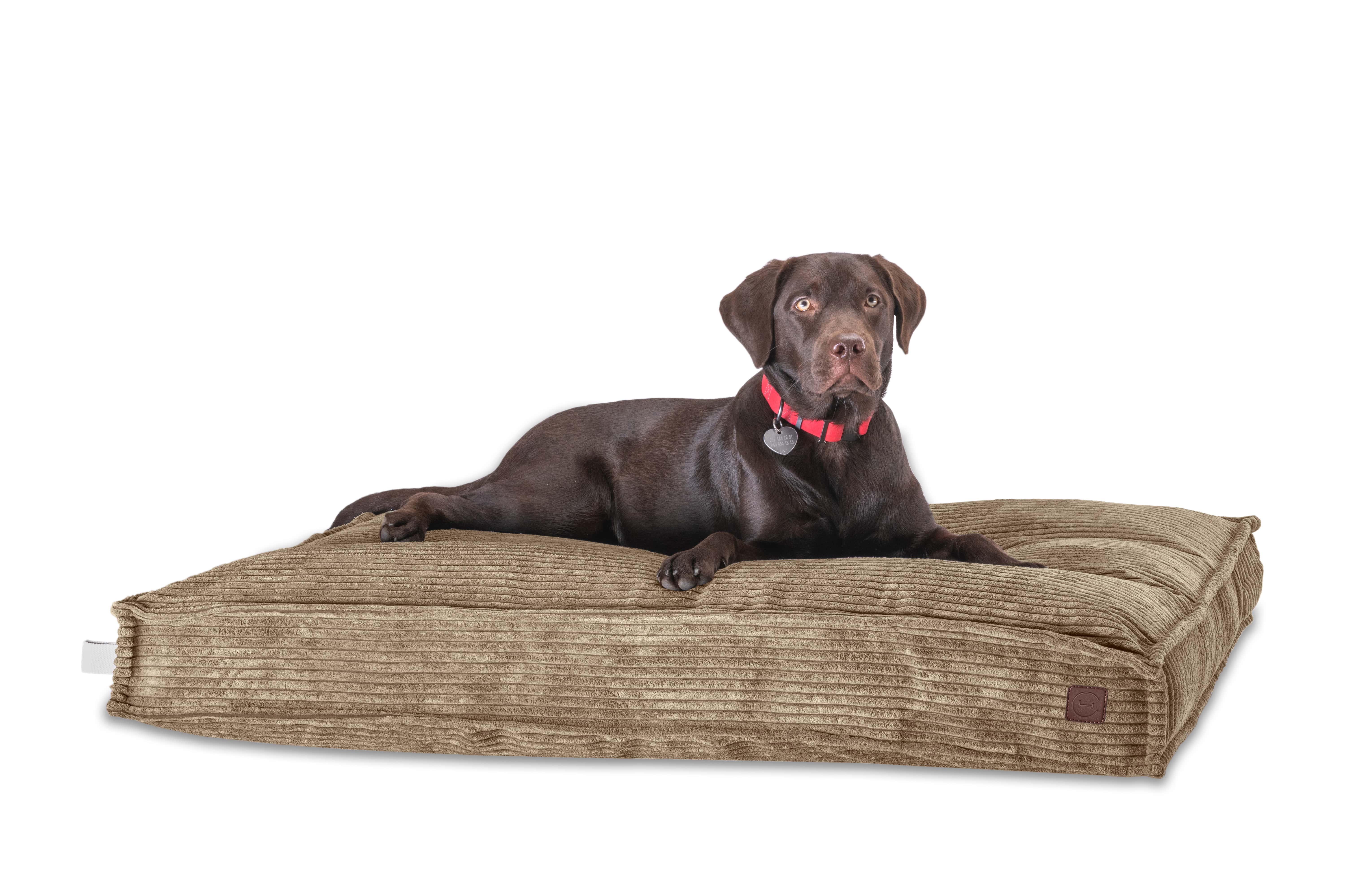 Подушка для собак Harley and Cho Memory Foam L 110х70 см Cacao (3103130) - фото 3