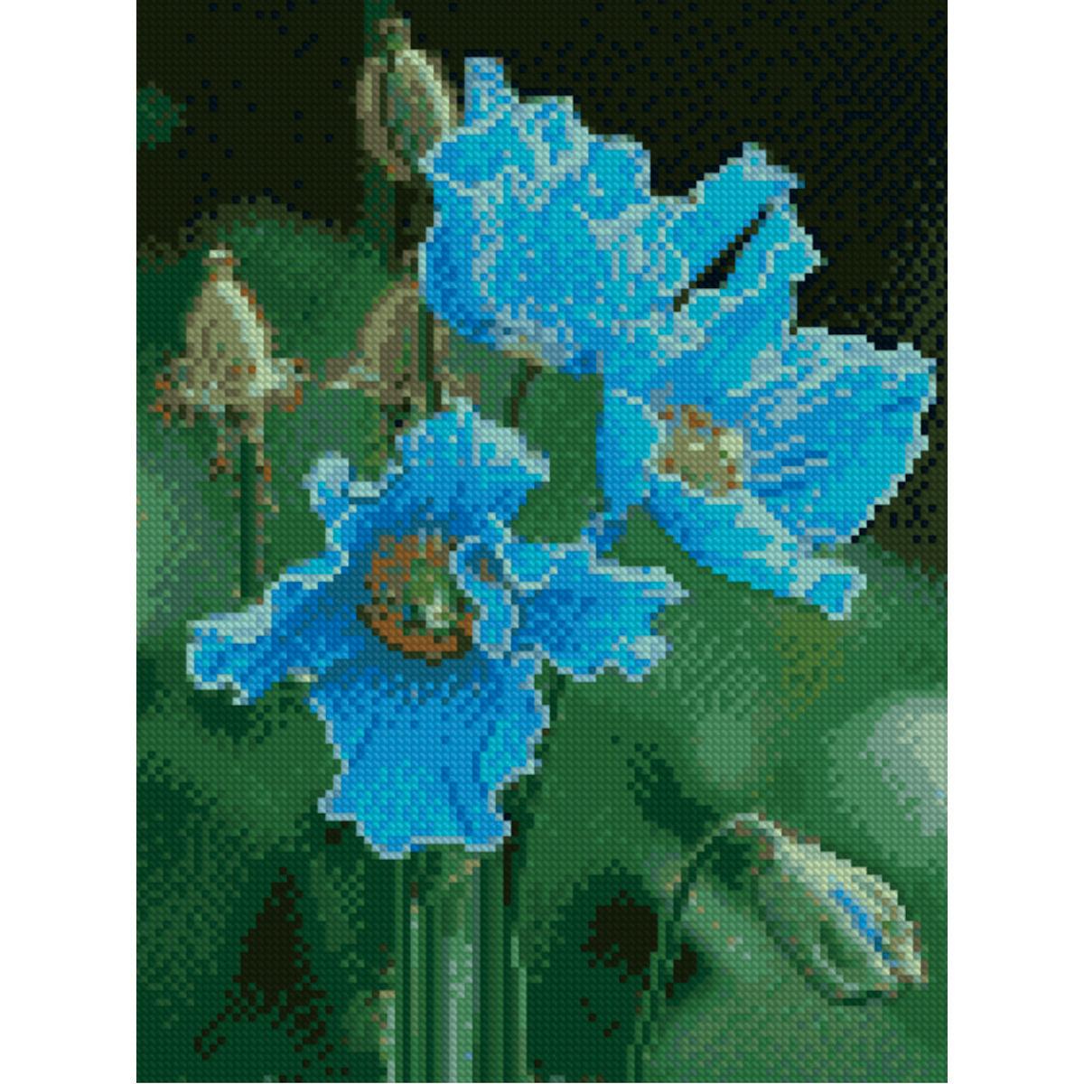 Алмазная мозаика Strateg Гималайские маки 30х40 см (Str-HX189)