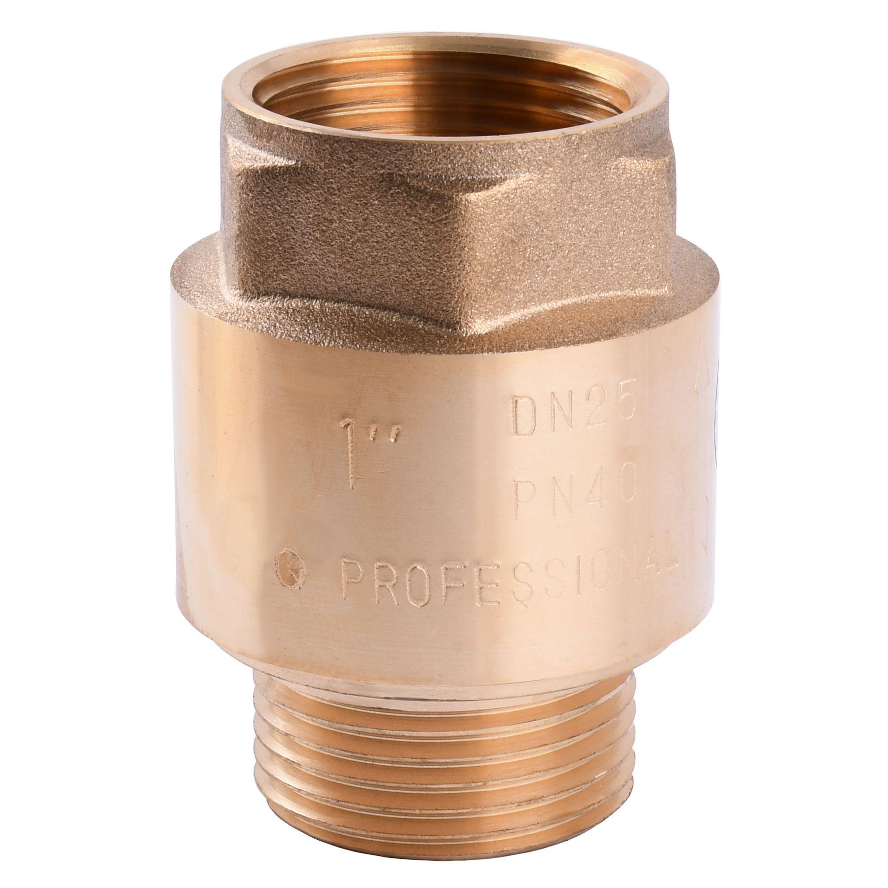 Клапан зворотнього ходу води Professional 1" НВ QP100MF (000014114)